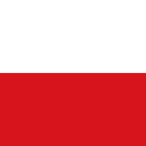 Čeština flag